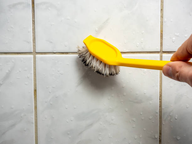Best Kitchen Mold Remediation in Middletown, VA