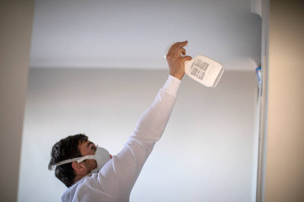 Best Basement Mold Remediation in Middletown, VA